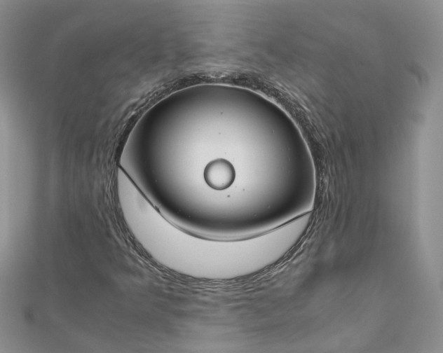 X0000112901349200909041714