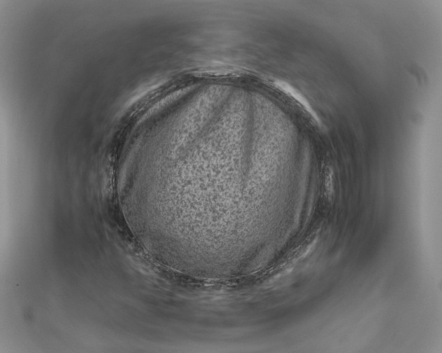 X0000112901350200909041714