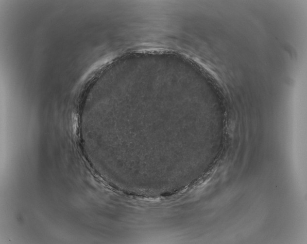 X0000112901351200909041714