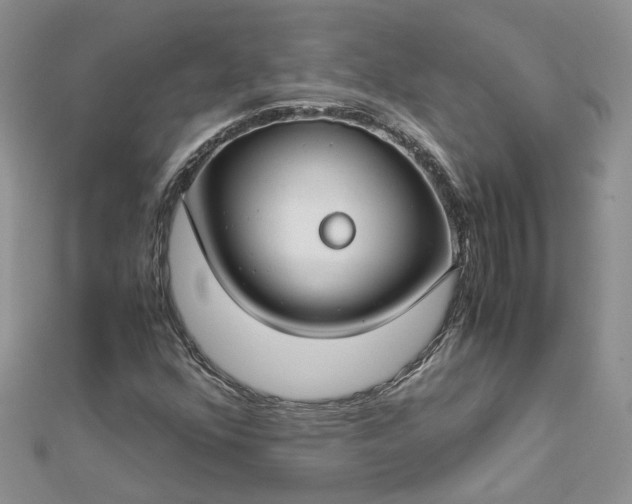 X0000112901352200909041714