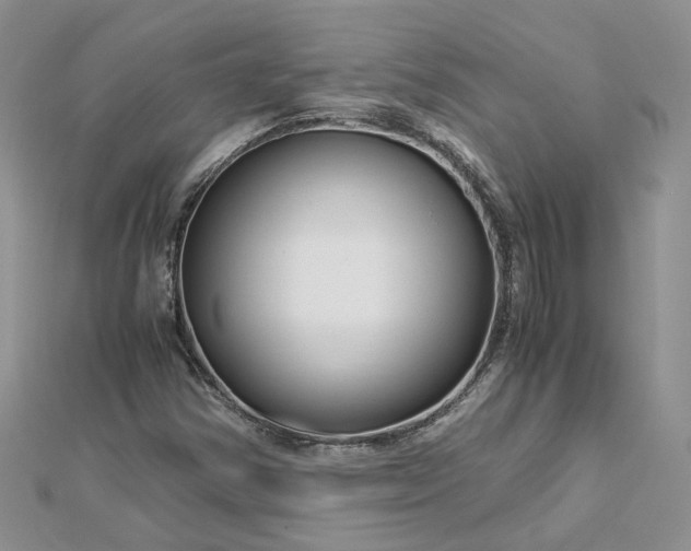 X0000112901354200909041714