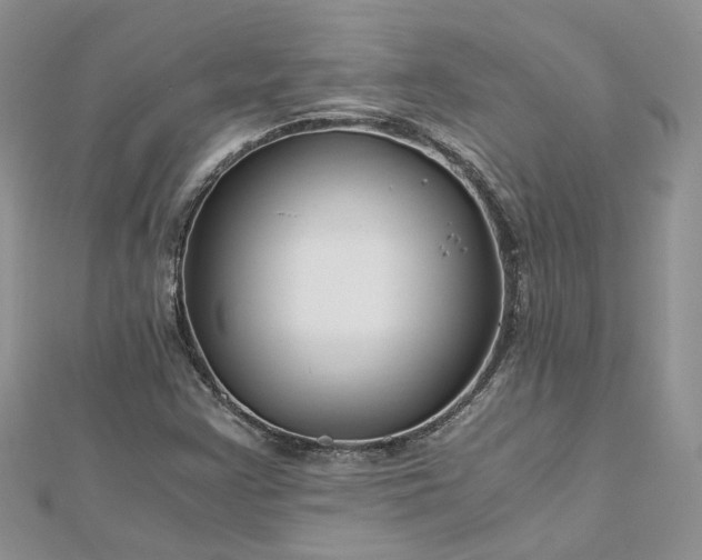 X0000112901355200909041714