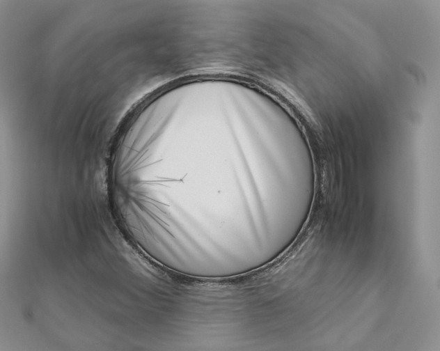 X0000112901356200909041714