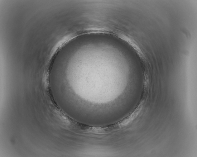 X0000112901357200909041714