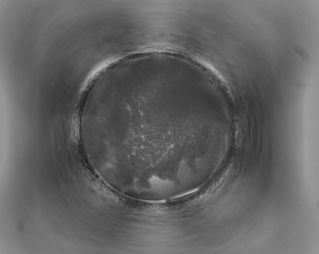 X0000112901358200909041714