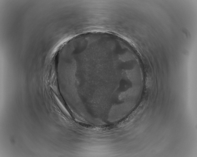 X0000112901359200909041714