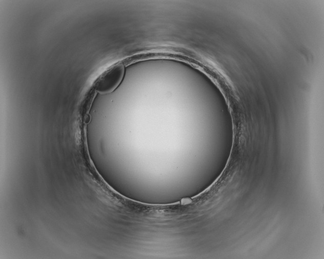 X0000112901360200909041714