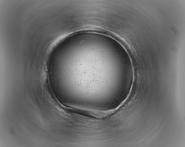 X0000112901363200909041714