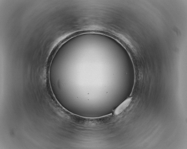 X0000112901364200909041714