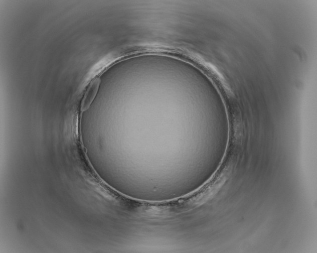 X0000112901365200909041714