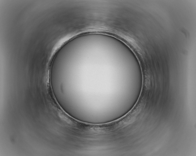 X0000112901366200909041714