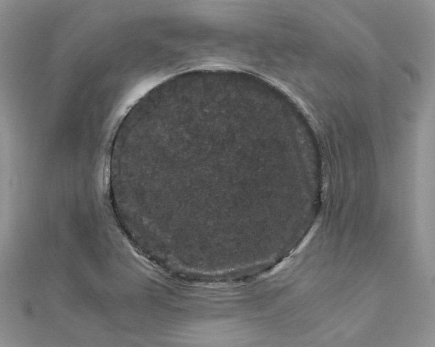 X0000112901367200909041714