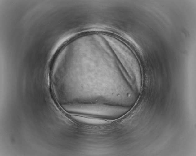 X0000112901368200909041714