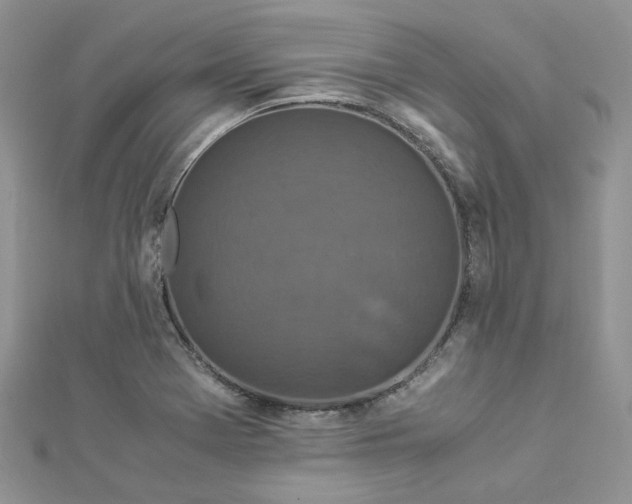 X0000112901369200909041713