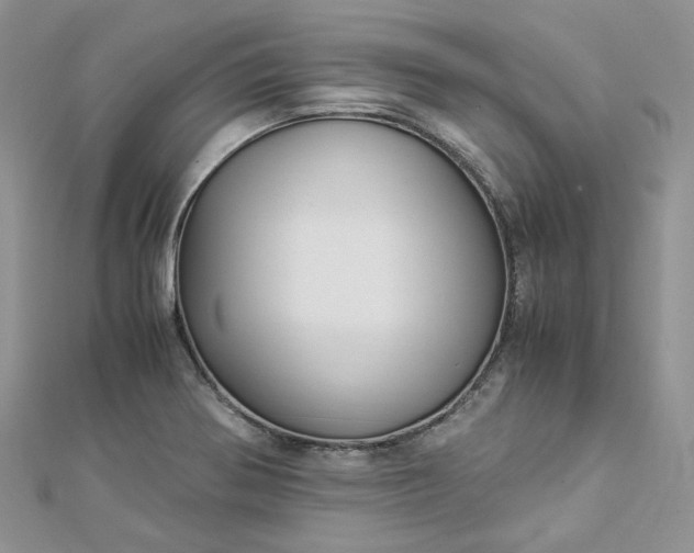 X0000112901370200909041713