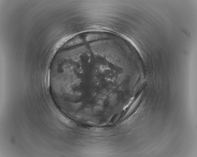 X0000112901371200909041713