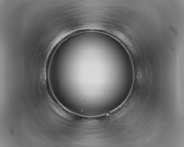 X0000112901372200909041713