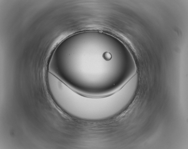 X0000112901373200909041713