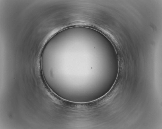 X0000112901375200909041713