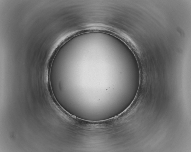 X0000112901376200909041713