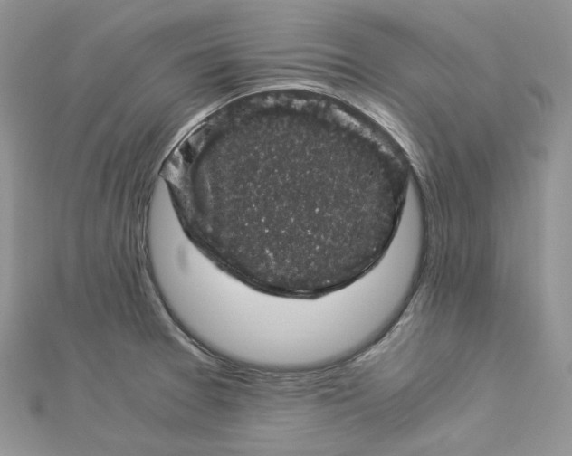 X0000112901377200909041713