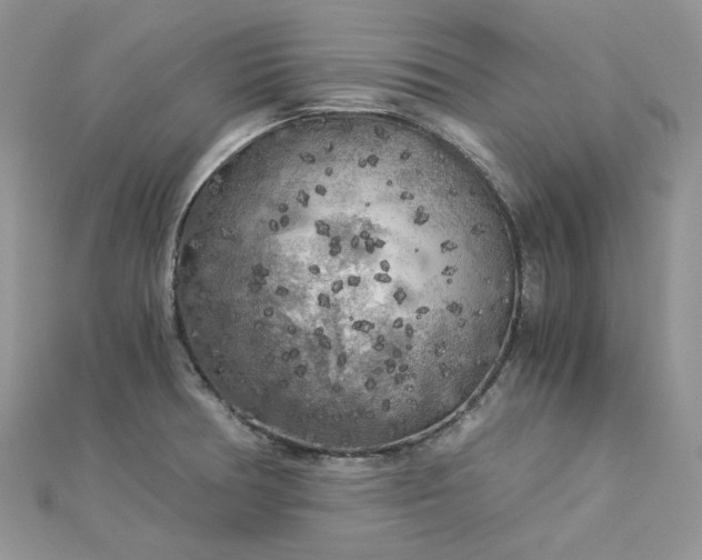 X0000112901378200909041713