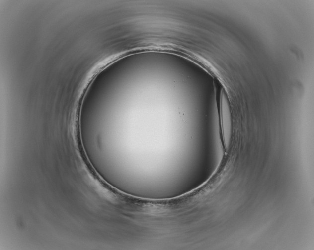 X0000112901379200909041713