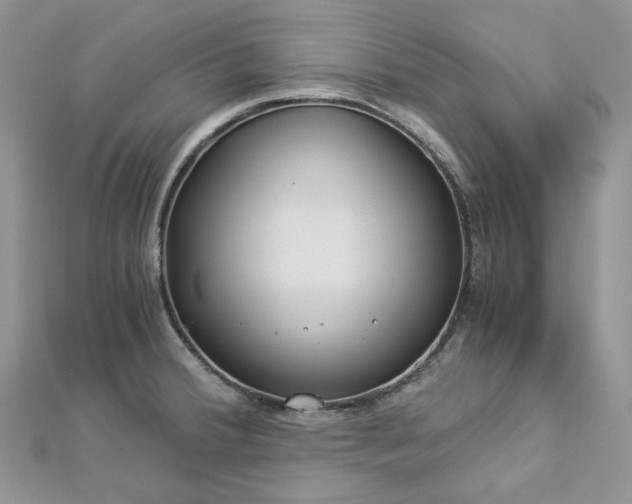 X0000112901380200909041713