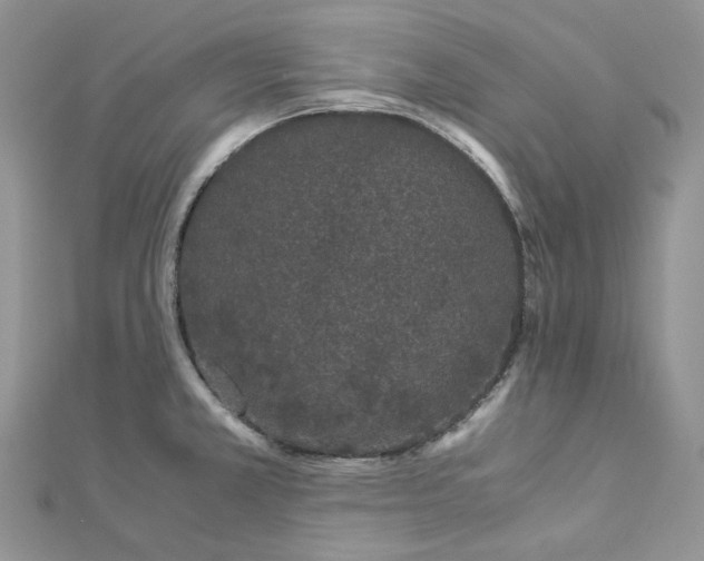 X0000112901381200909041713