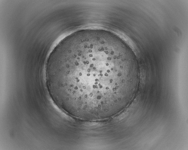 X0000112901382200909041713