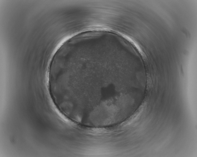 X0000112901383200909041713