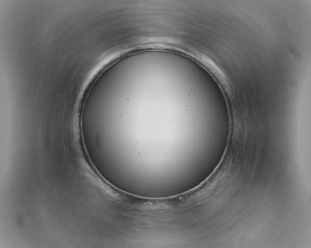 X0000112901384200909041713