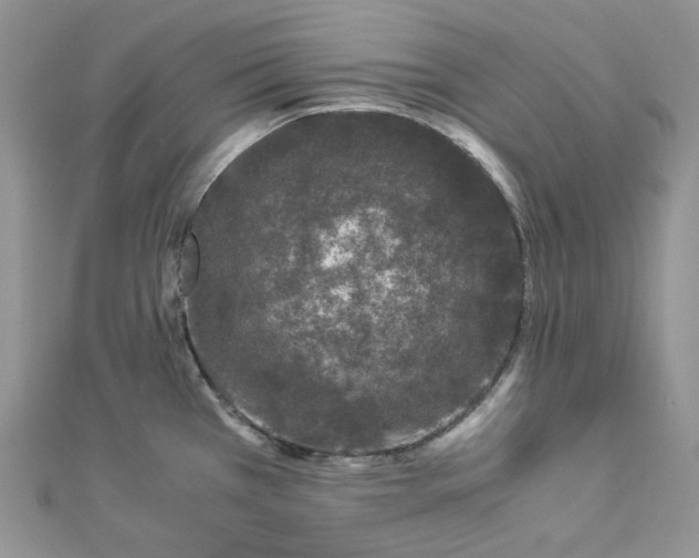 X0000112901385200909041713