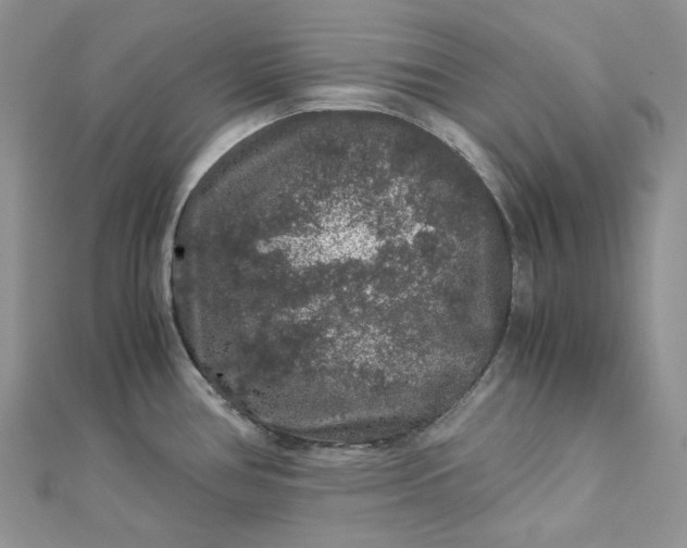 X0000112901386200909041713