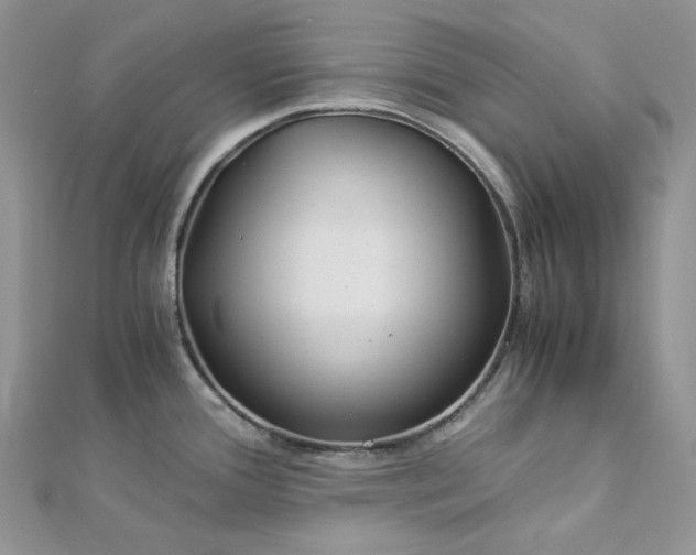 X0000112901388200909041713