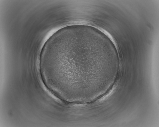 X0000112901389200909041713