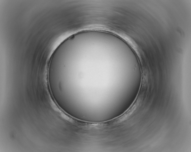 X0000112901390200909041713