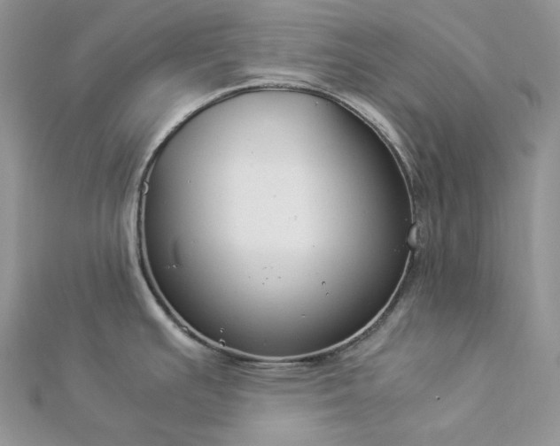 X0000112901391200909041713