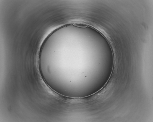 X0000112901392200909041713