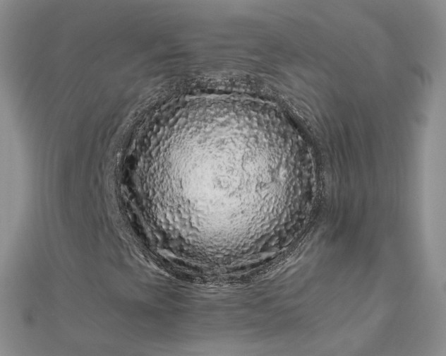 X0000112901393200909041713