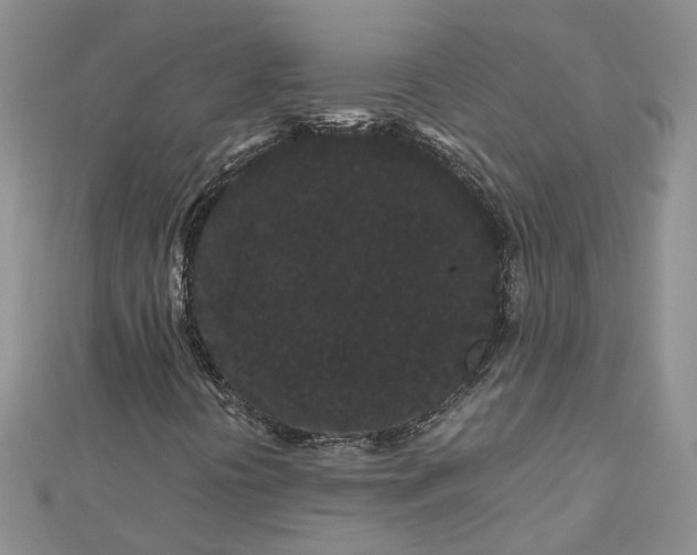 X0000112901394200909041713