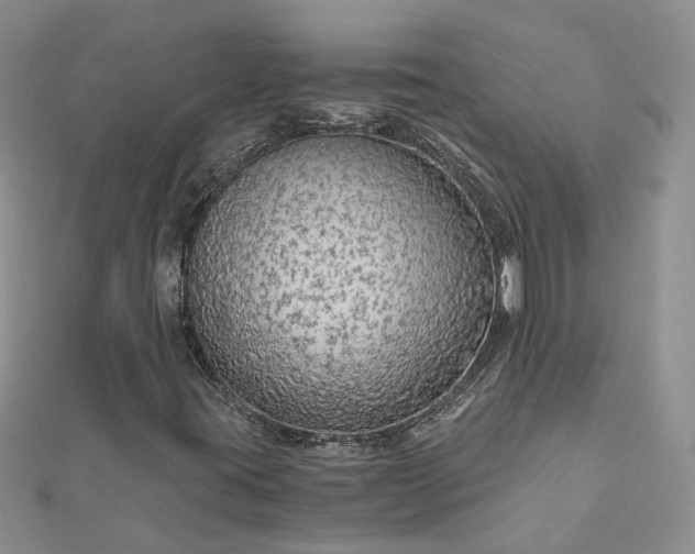 X0000112901395200909041713