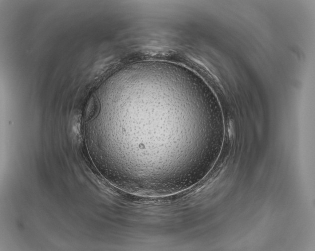 X0000112901396200909041713