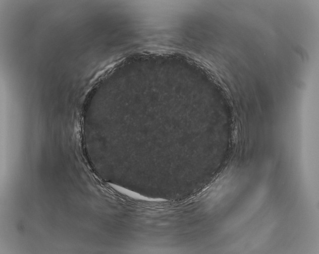 X0000112901397200909041713