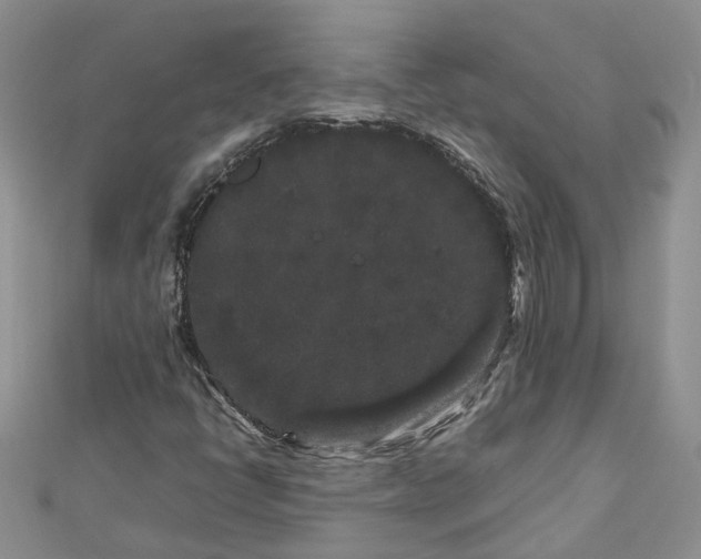 X0000112901398200909041713