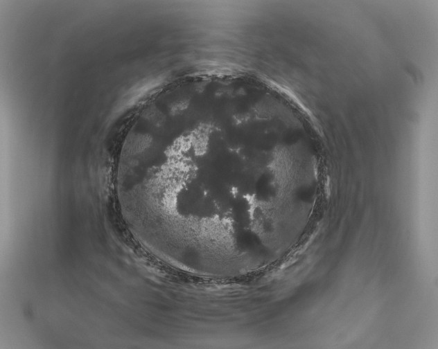 X0000112901399200909041713