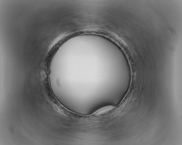 X0000112901400200909041713