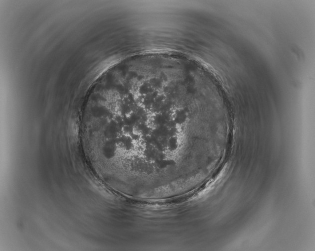 X0000112901401200909041713