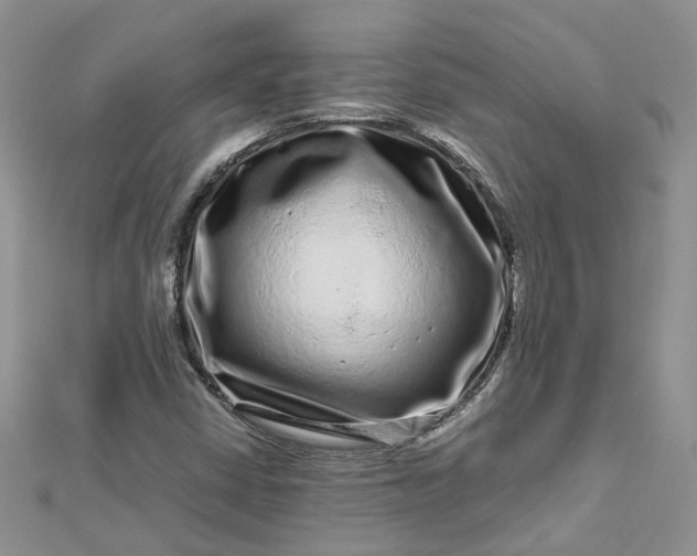 X0000112901402200909041713