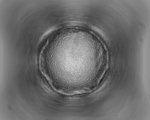 X0000112901403200909041713